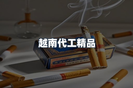 越南代工精品